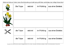 Tulpe-Sätze-umstellen-1-B.pdf